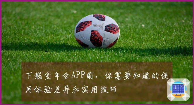 下载金年会APP前，你需要知道的使用体验差异和实用技巧