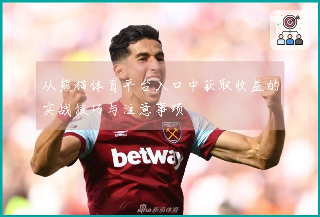 从熊猫体育平台入口中获取收益的实战技巧与注意事项