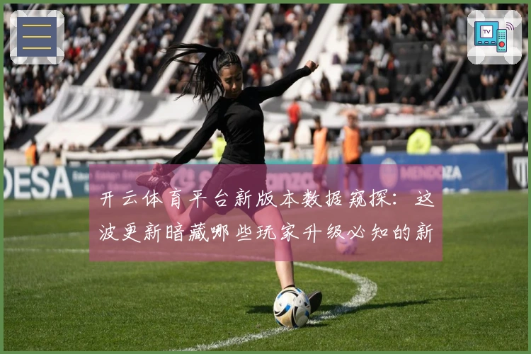 开云体育平台新版本数据窥探：这波更新暗藏哪些玩家升级必知的新玩法？