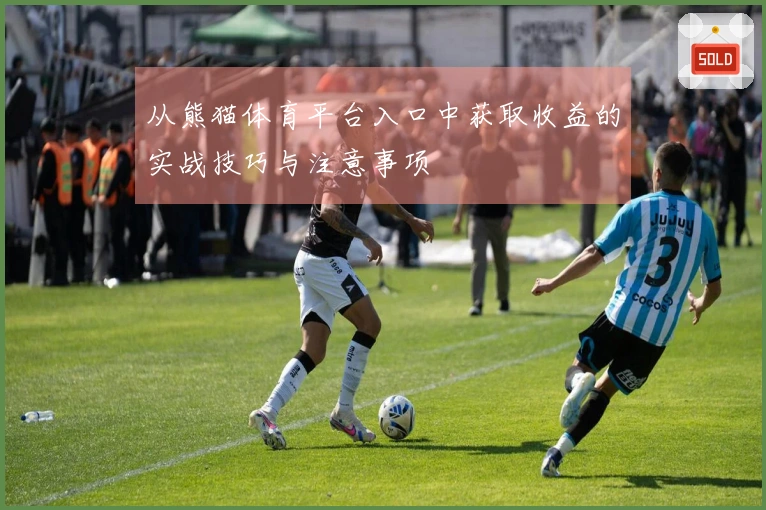 从熊猫体育平台入口中获取收益的实战技巧与注意事项